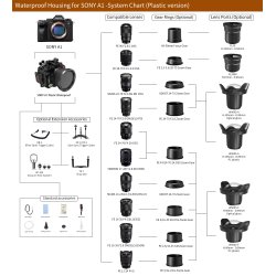 Seafrogs housing for Sony A1 with lens port