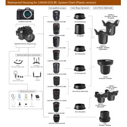 Seafrogs housing for Canon EOS R6 and Flat Port