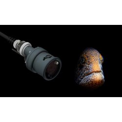 Anglerfish Trigger V3.0 package