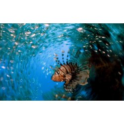 Fantasea FG16 Housing for Canon G16