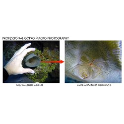 +15 MacroMate Mini Underwater Macro Lens for GoPro