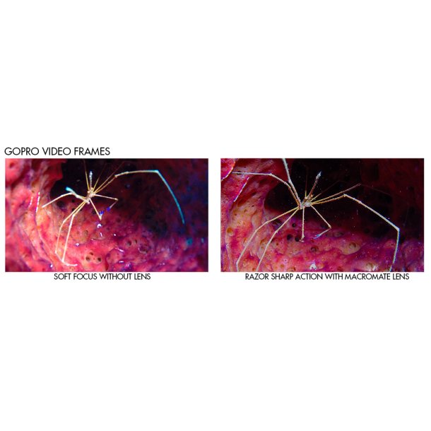 +15 MacroMate Mini Underwater Macro Lens for GoPro