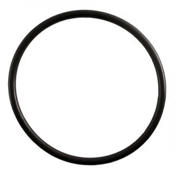 O-RING DS200 Batteriefach