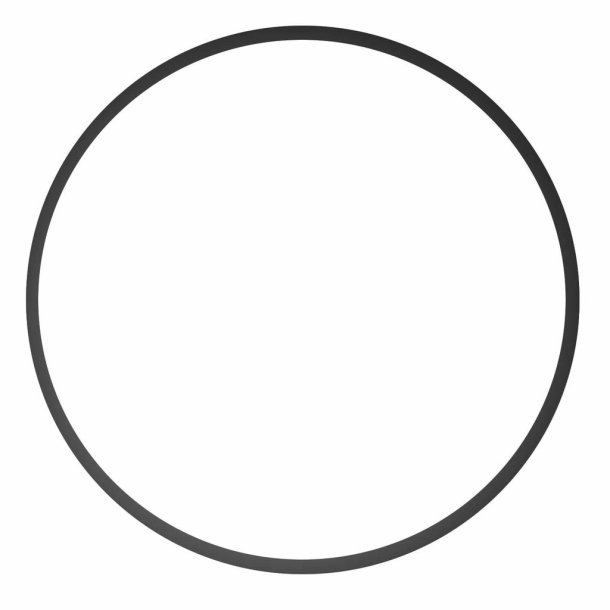 O-Ring 0110 f�r digitale Geh�use