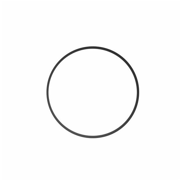 O-RING PCM LITE