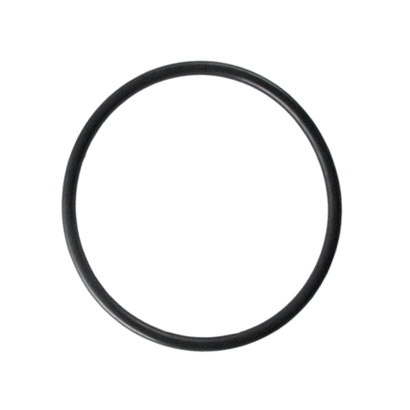 O-RING PC - PCA LITE
