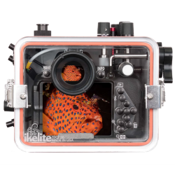 NIKON D5500  D5600 HOUSING 200DLM/C