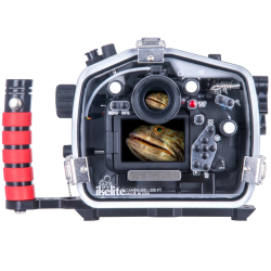 Ikelite 200DL Underwater Housing for Canon EOS 90D DSLR Cameras