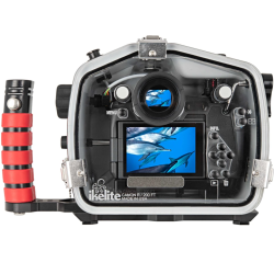 Ikelite 200DL Underwater Housing for Canon EOS R Mirrorless Digital Camera