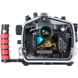 Ikelite 200DL Underwater Housing for Canon EOS RP Mirrorless Digital Camera