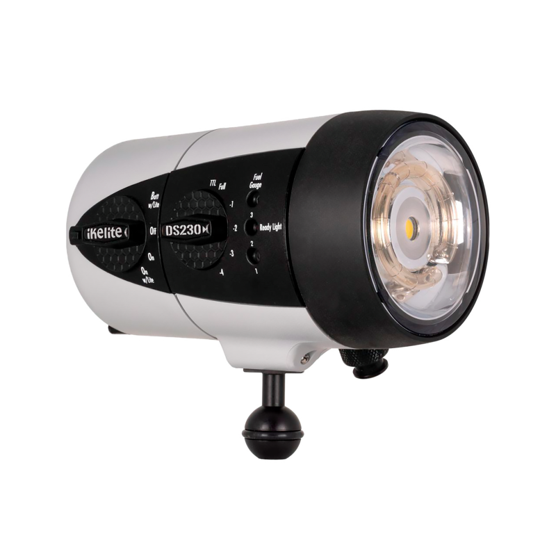 DS230 213Ws Underwater TTL Strobe with Aiming Light