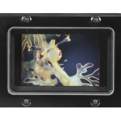 Rental_Small-HD-502 incl monitor, cable &amp; bulkhead