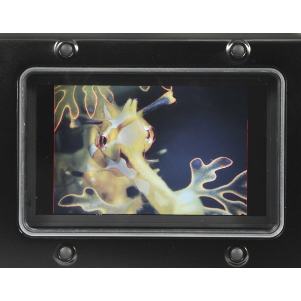 Rental_Small-HD-502 incl monitor, cable &amp; bulkhead