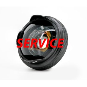 Replacement of Front Element of WWL-C (incl. working hours)