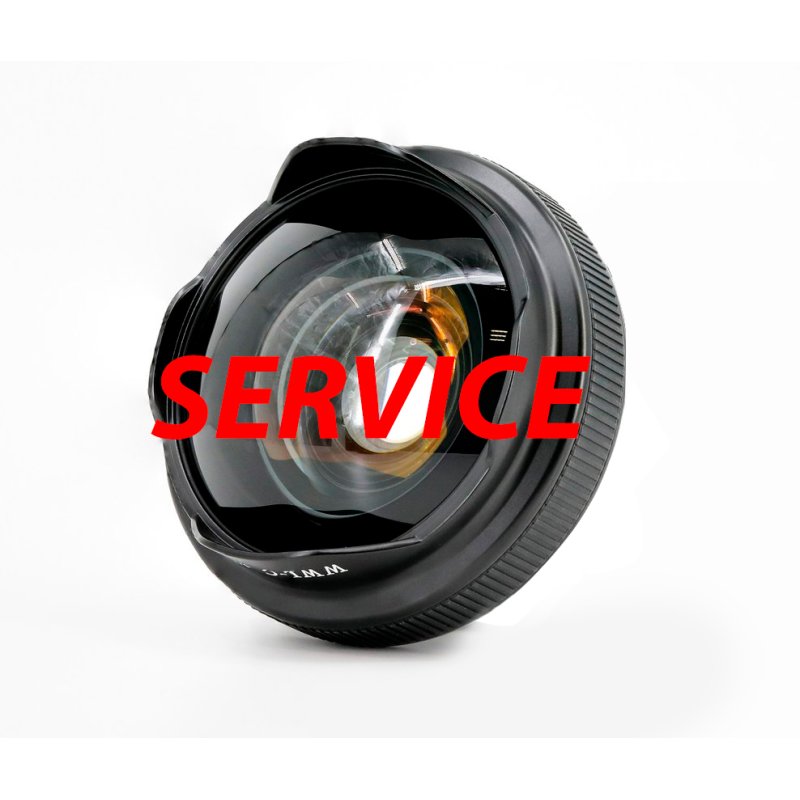 Replacement of Front Element of WWL-C (incl. working hours)