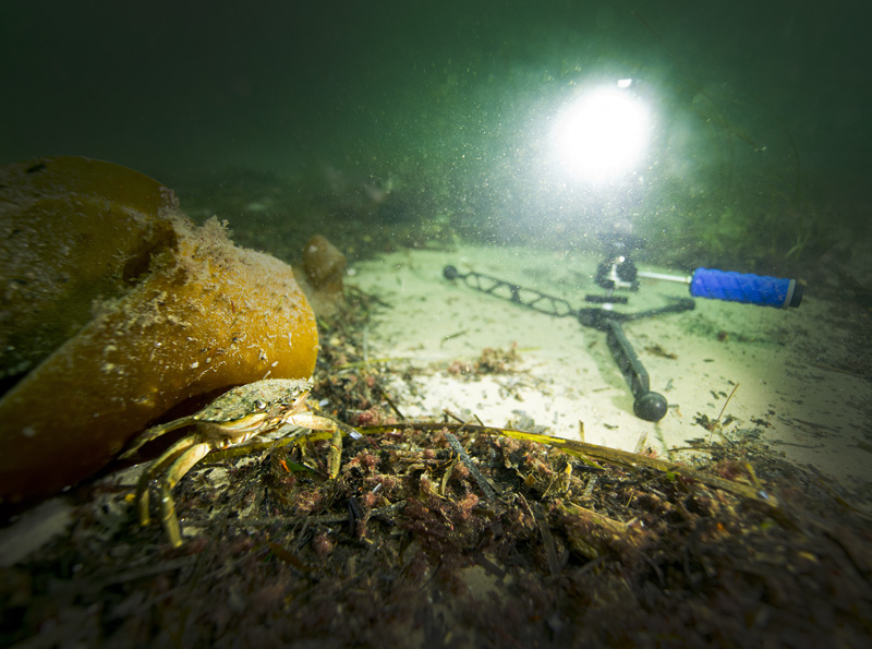 Underwater scene illuminated with dive lights mounted on arm holders, showcasing lighting setup for underwater photography.