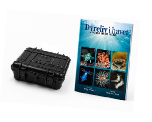 GEAR BAGS AND BOOKS