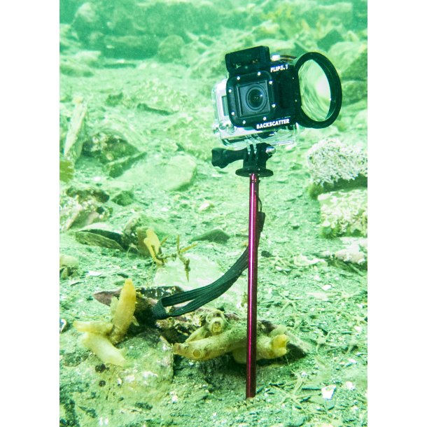 FOTOGRAFIT pointer - Black