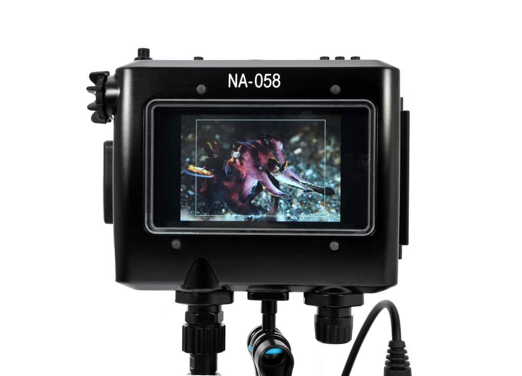 Viewfinder or monitor?