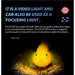 Weefine Smart Focus 2600 Diving Video Light