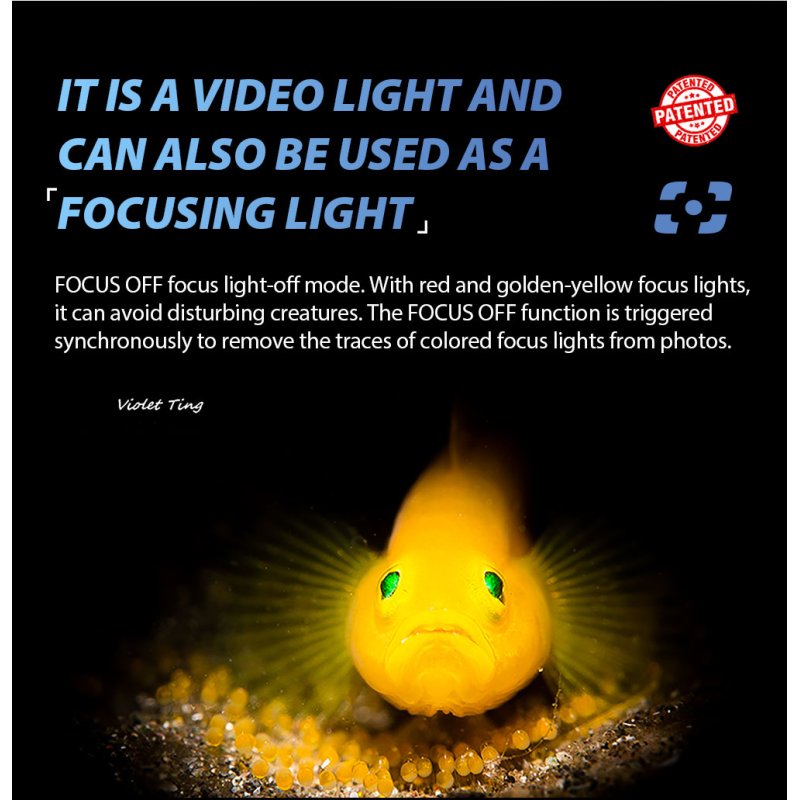 Weefine Smart Focus 2600 Diving Video Light