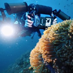 Divevolk SeaTouch 4 Max Platinum Unterwasser-Touchscreen-Geh�use f�r Smartphones