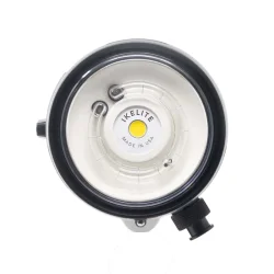 DS162 160Ws Strobe with 2500 Lmn Video Light (EU)