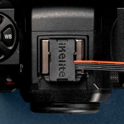 Ikelite NL4 Auto Hotshoe for Nikon Cameras (Left)
