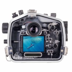 Ikelite 200DL Underwater Housing for Canon EOS R6 III Mirrorless Digital Cameras
