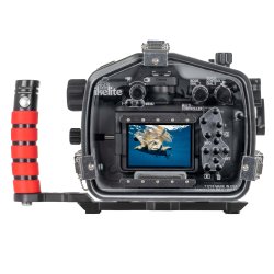 Ikelite 200DL Underwater Housing for Canon R6 V Camera