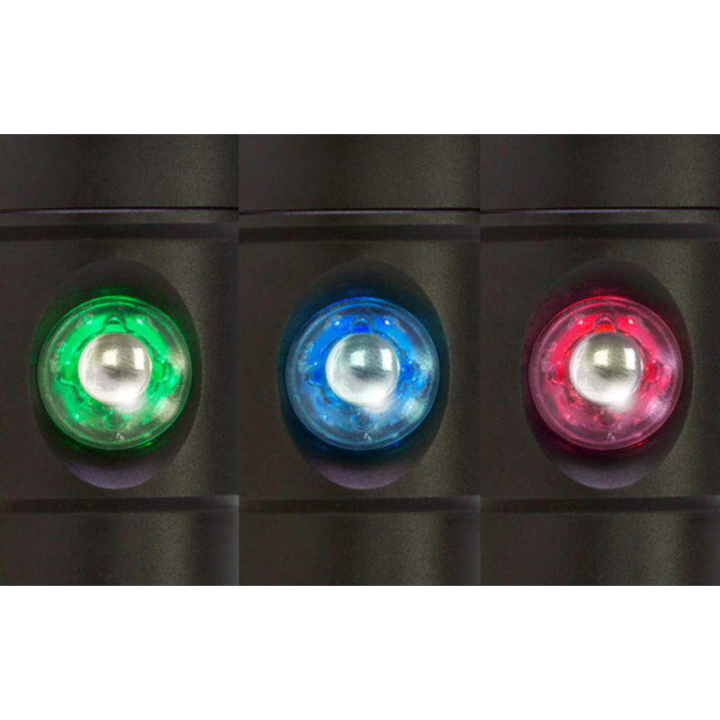 Black Molly 6 - 2000 Lumen Video Light