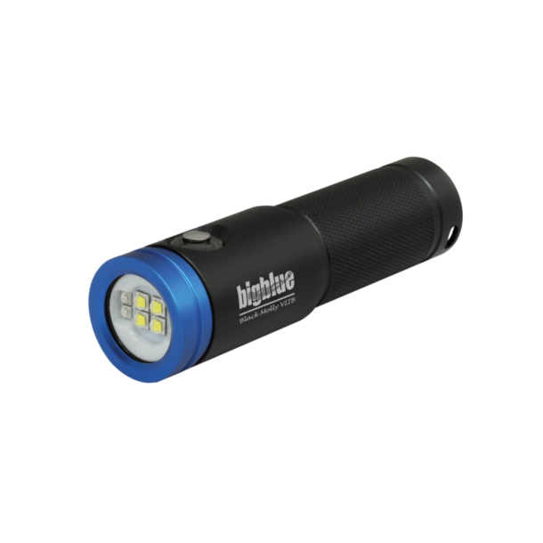  Black Molly 7 - 2900 Lumen Torch Wide Beam with Blue &amp; Red Light