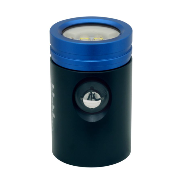  Black Molly 7 - 2900 Lumen Torch Wide Beam with Blue &amp; Red Light