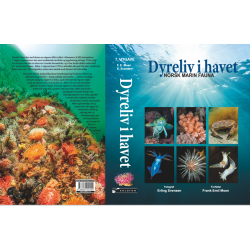 Dyreliv i havet - Nordisk Marin Fauna