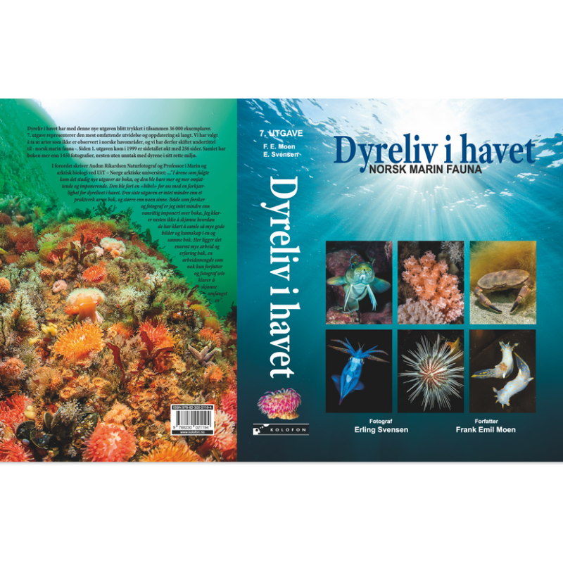 Dyreliv i havet - Nordisk Marin Fauna