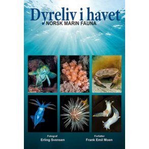Dyreliv i havet - Nordisk Marin Fauna