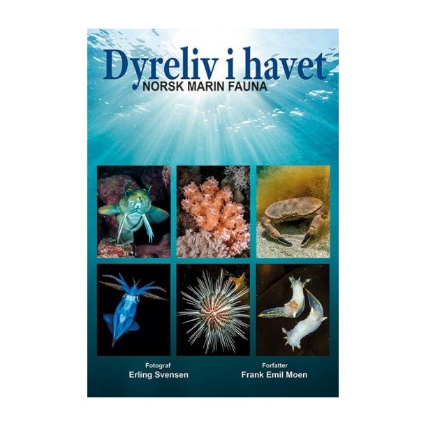 Dyreliv i havet - Nordisk Marin Fauna