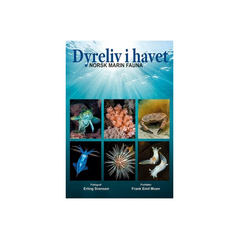 Dyreliv i havet - Nordisk Marin Fauna