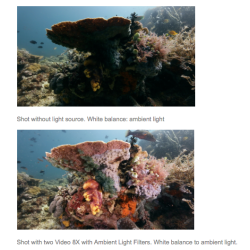 Keldan Ambient Filter AF 12 B 72mm