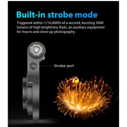 Weefine Ring Light 3000