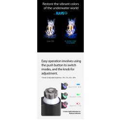 Weefine Ring Light 3000