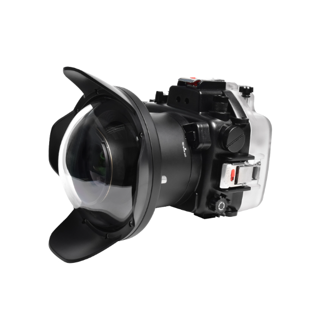 Seafrogs housing for Nikon Z7 and Dome Port