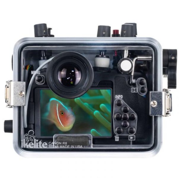 Ikelite 200DLM/D Underwater Housing for Canon EOS R8 [Fiber Optic Update]