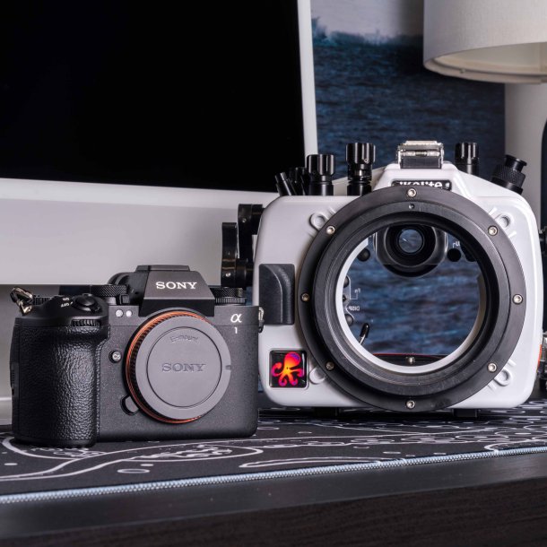 Ikelite 200DL Unterwassergeh�use f�r Sony a1 II, a9 III Deluxe-Version mit Griffen, Vakuumpumpe und USB-C-Ladebulkhead