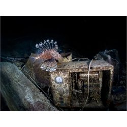 AOI UWL-400A - Wide Angle Conversion Wet Lens 0.5x (QRS adaptable)