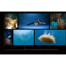 DIVEVOLK SeaTouch 4 MAX iPhone Underwater Housing