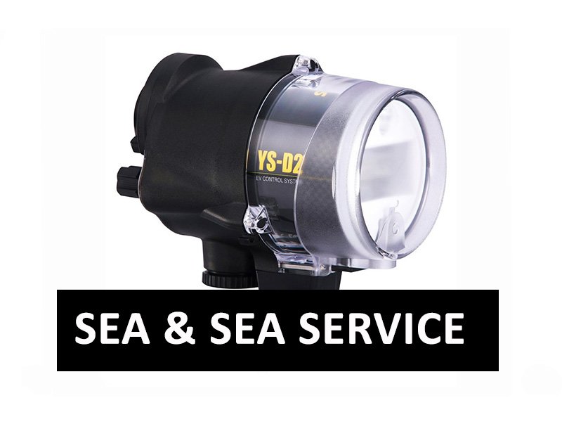 SEA &amp; SEA SERVICE