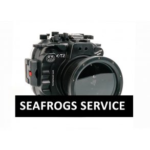 SEAFROGS SERVICE