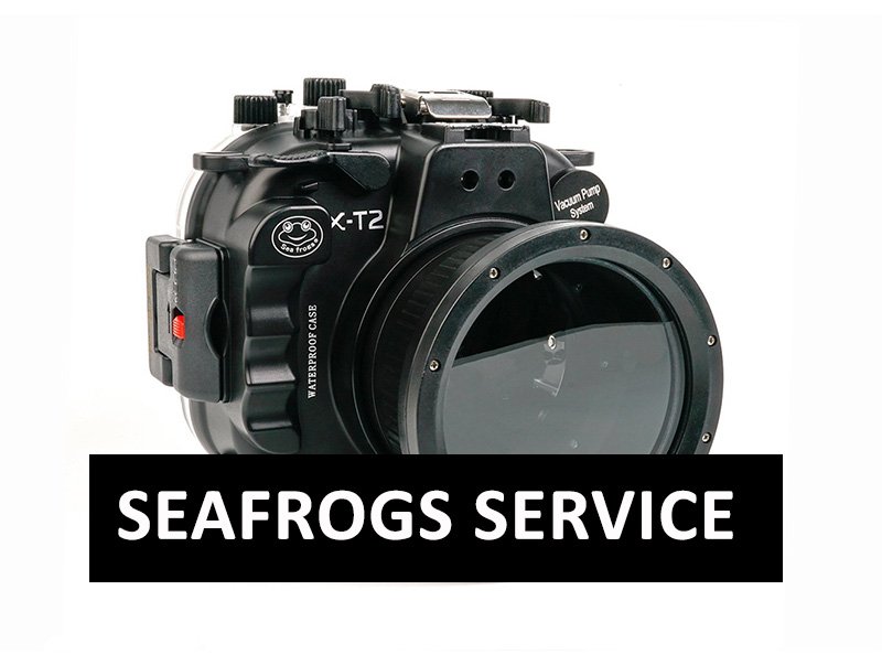 SEAFROGS SERVICE